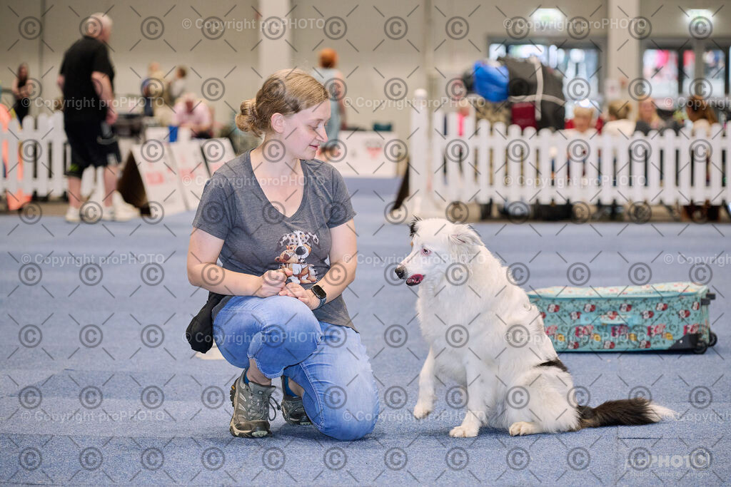 202406_ÖKV-IHA-Tulln24_NZ9_7677 | proPHOTO - Realisiert mit Pictrs.com