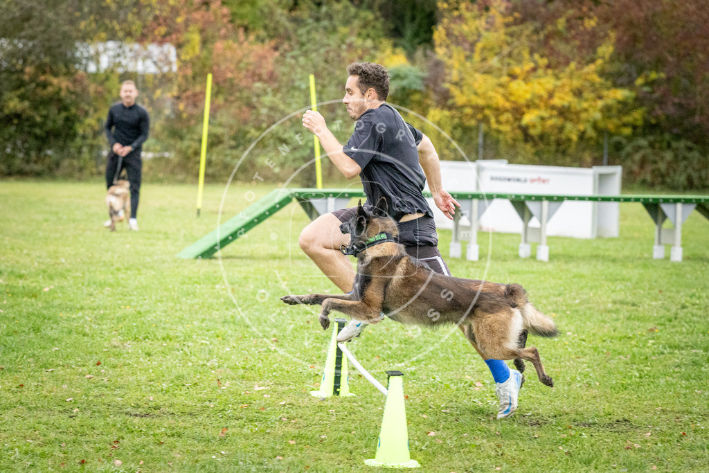 Pfotenfotografie_DV3A1053 | Hundefotografie, Tierfotograf, Pfotenfotografie, Fotoshooting Hund, Hunde Portrait, Hundesport, Hundeportraits, Heideshooting, Hunde, Sportfotograf, Hundefotograf, Turnierhundsport, THS,  - Realisiert mit Pictrs.com