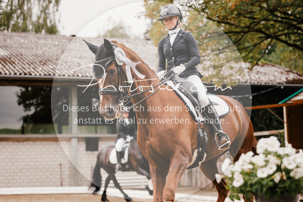 3I6A7870 | Stimmungsvolle Portraits und Reitsportfotografie im Ruhrgebiet und im Münsterland.

Pferdefotografie, Hundefotografie, Tierfotografie, Reportagen, Portraits von Tier und Mensch, Turnierfotografie in Bochum, Recklinghausen, Marl, Haltern am See, Dülmen.. - Realisiert mit Pictrs.com