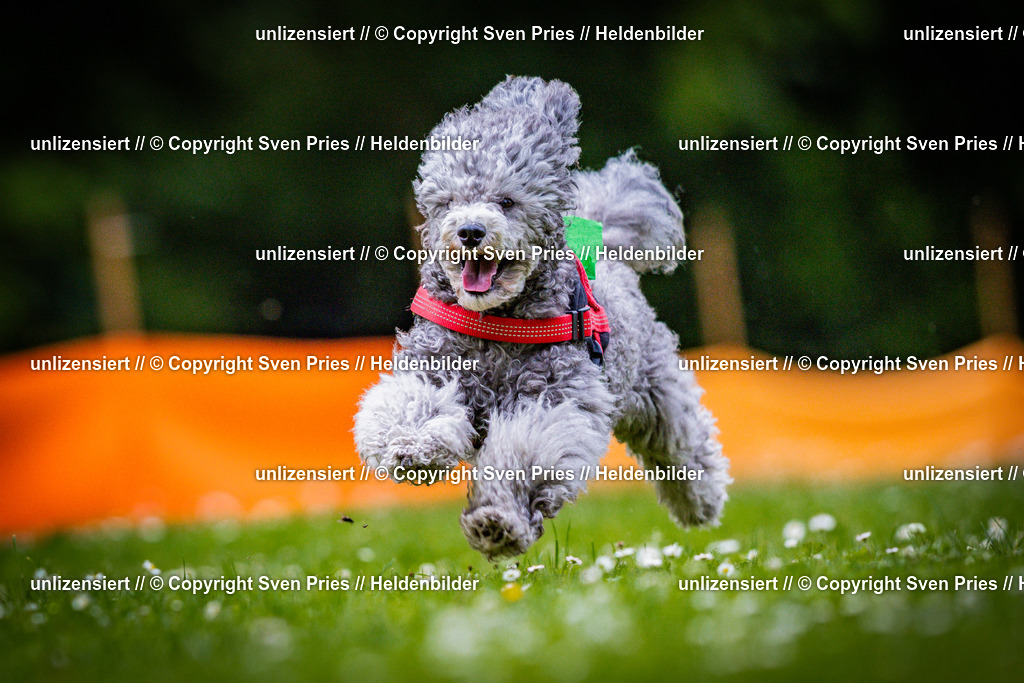 Sven Pries | 2025-05-29 - Pudelrennen KA-Durlach - Realisiert mit Pictrs.com