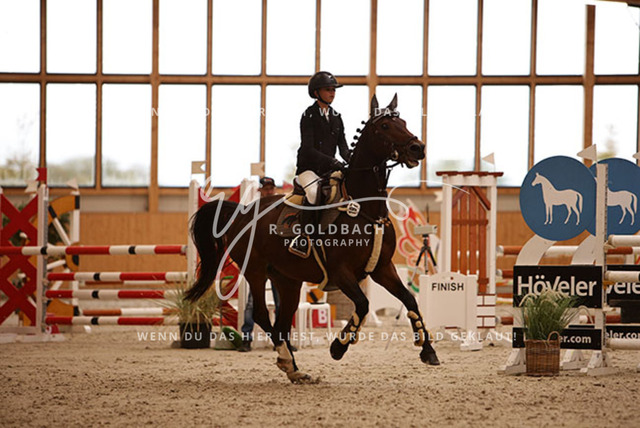 1J2A3662Fiby Sosna_ D_Amour du Foret Z_ Kn197_ Hohen Wieschendorf_ Glantz | Foto- und Videografie für alles rund ums Pferd. Hochwertige Bilder und Videos vom Spring- und Dressurreiten, Voltigieren & mehr. Jetzt aktuelle Veranstaltungen und Preise im Shop ansehen. - Realisiert mit Pictrs.com