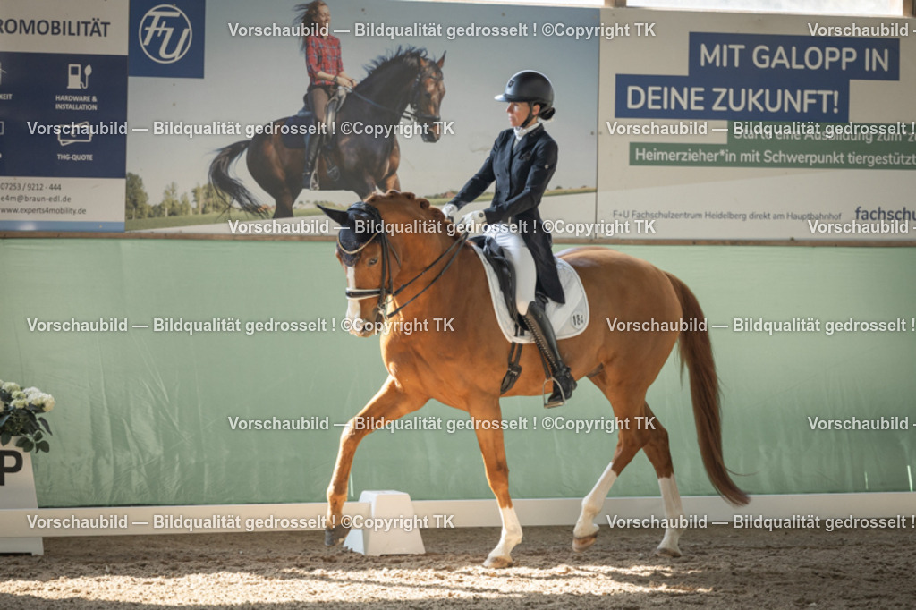 _D5A0976 | Emotionale Pferde- & People-Fotografie rund um Heidelberg, Leimen & Umgebung. Natürliche Fotos von Pferd, Mensch & Familie. Jetzt Termin sichern!