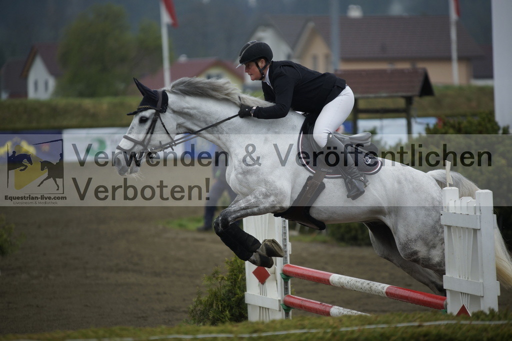 _DSC3838 | equestrian-live-com