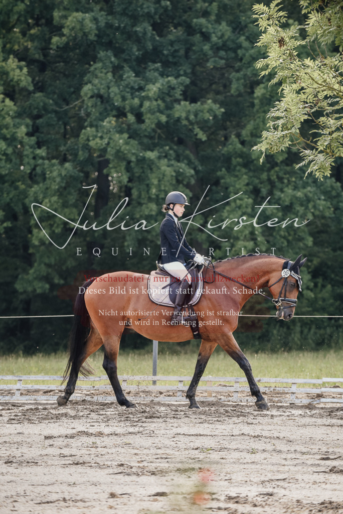 DSC_8080 | Pferde- und Turnierfotografie in Westsachsen. Pferdeportraits, Auftragszeichnungen und intuitive Kunst.