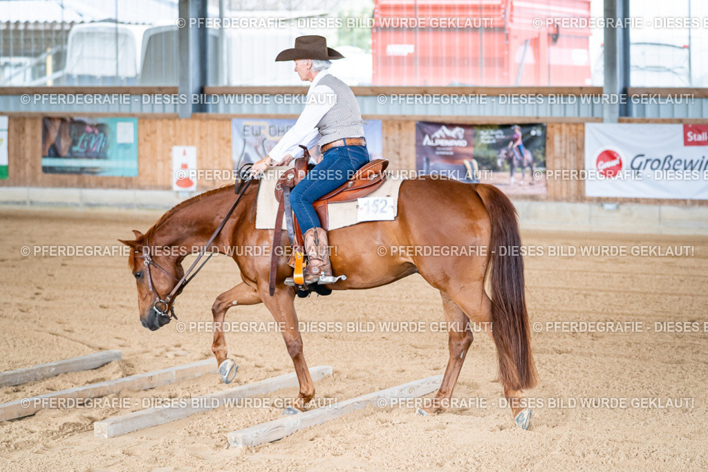 DSC07857 | Pferdegrafie