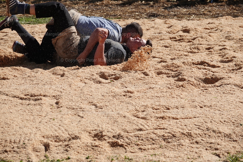 DSC00047 | Schwingen - Realisiert mit Pictrs.com