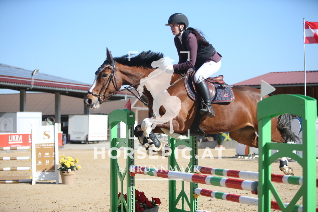 AS8V5501 | Willkommen bei Brunnmayr - Design & Fotografie – Ihrem Spezialisten für Reitturniere und Pferdeveranstaltungen in Oberösterreich, Salzburg und Bayern! Seit über 17 Jahren sind wir leidenschaftlich dabei.
