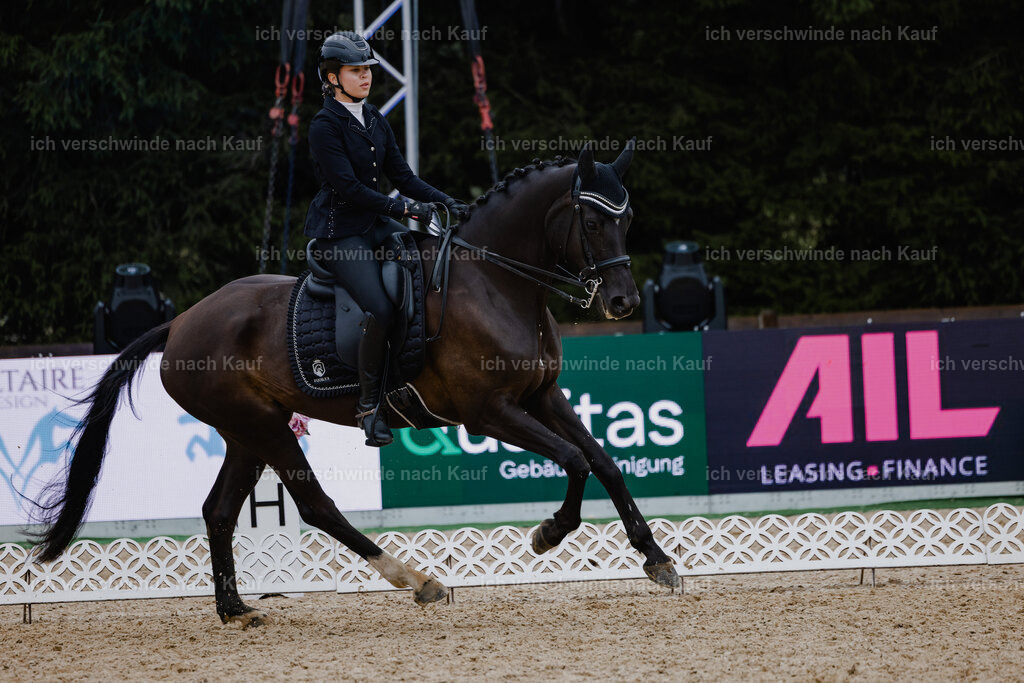 Leonie24_FHC2025-7 | working equitationturnier fotograf videograf stoibphotography marixx film working equitation deutschland reitsport turnierfotografie eventfotografie equestrian events