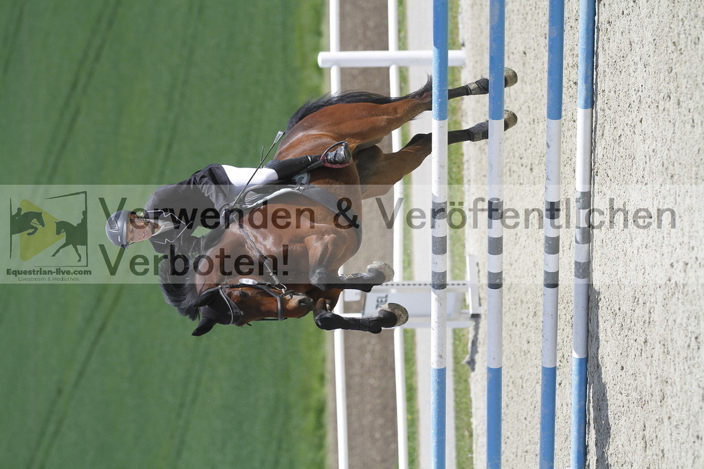 _MG_1973 | equestrian-live-com