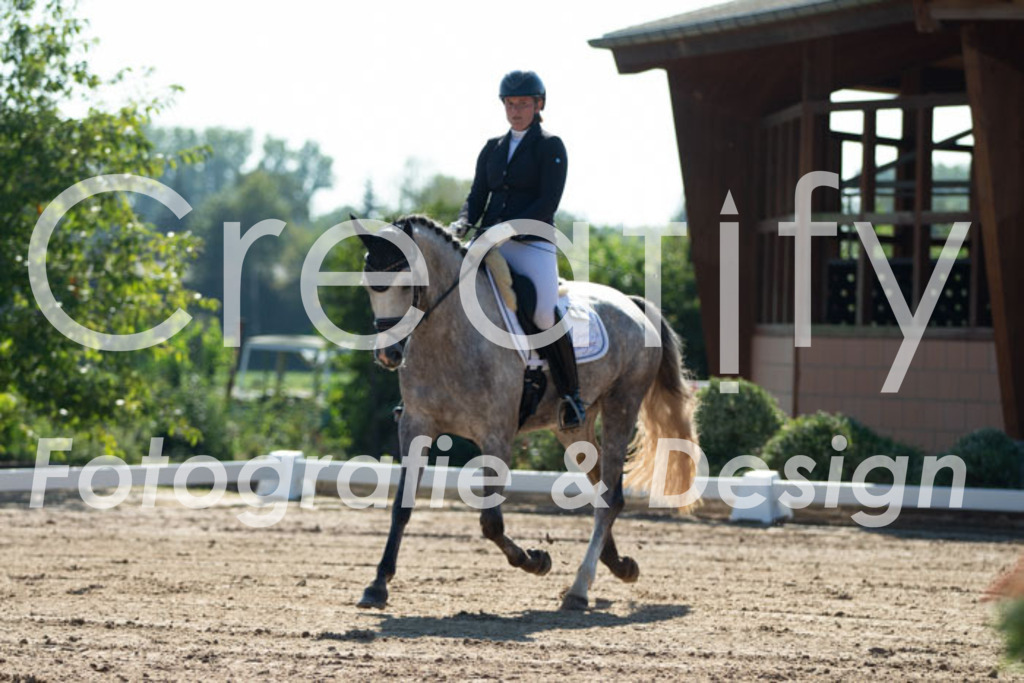 IMG_2936 | Creatify Fotografie