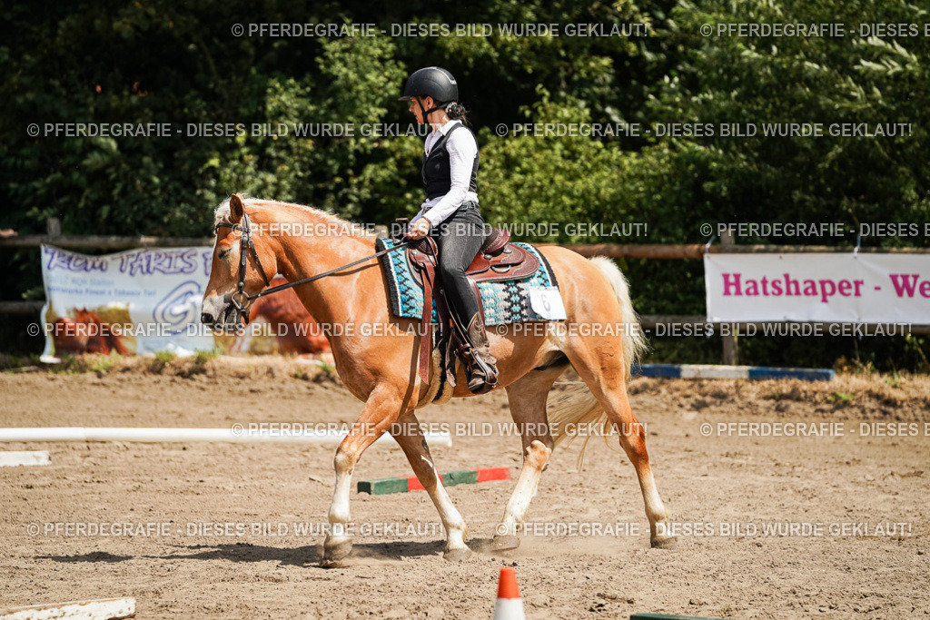 DSC07101 | Pferdegrafie