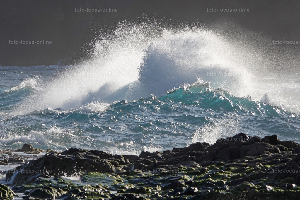 waves | Elemental power of the waves