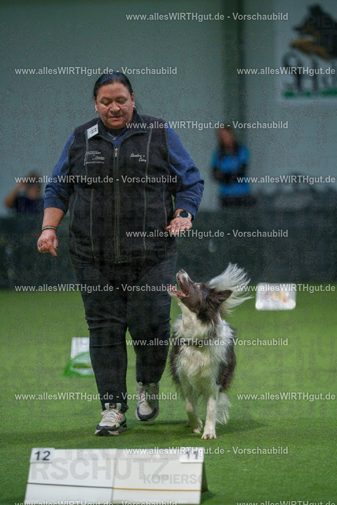 7R500262 | Professionelle Tierfotografie in Mönchengladbach von Daniel Wirth (allesWIRTHgut). Liebevolle & natürliche Bilder von Hunden & Katzen für unvergessliche Erinnerungen.