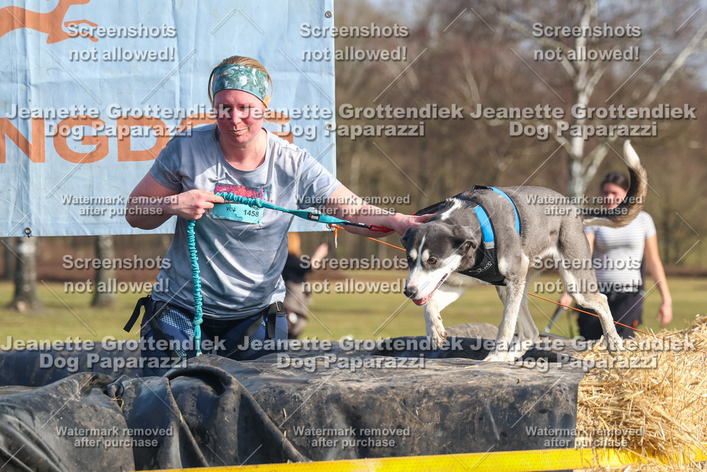 Dog Paparazzi - Strongdog North Mrz26-2759 | Dog Paparazzi Jeanette Grottendiek Fotografie & Videografie - Realisiert mit Pictrs.com