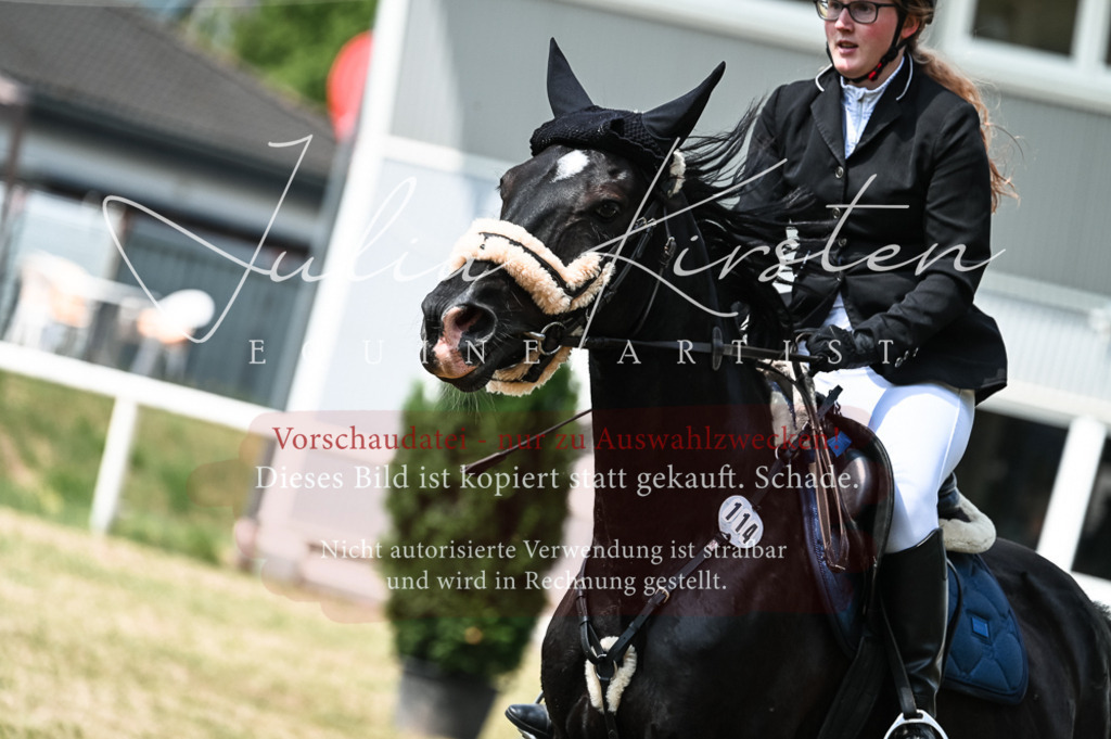 DSC_9137 | Pferde- und Turnierfotografie in Westsachsen. Pferdeportraits, Auftragszeichnungen und intuitive Kunst.