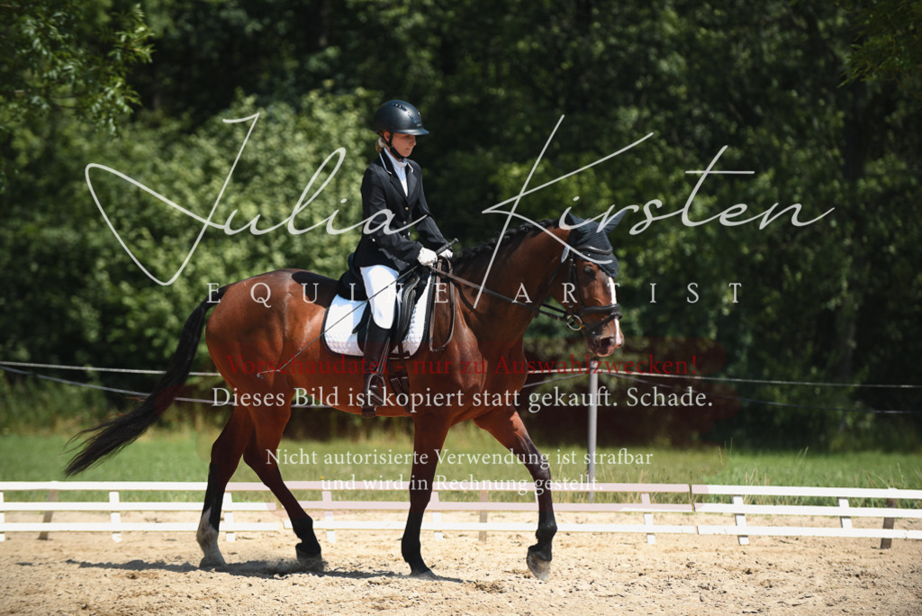 DSC_2297 | Pferde- und Turnierfotografie in Westsachsen. Pferdeportraits, Auftragszeichnungen und intuitive Kunst.