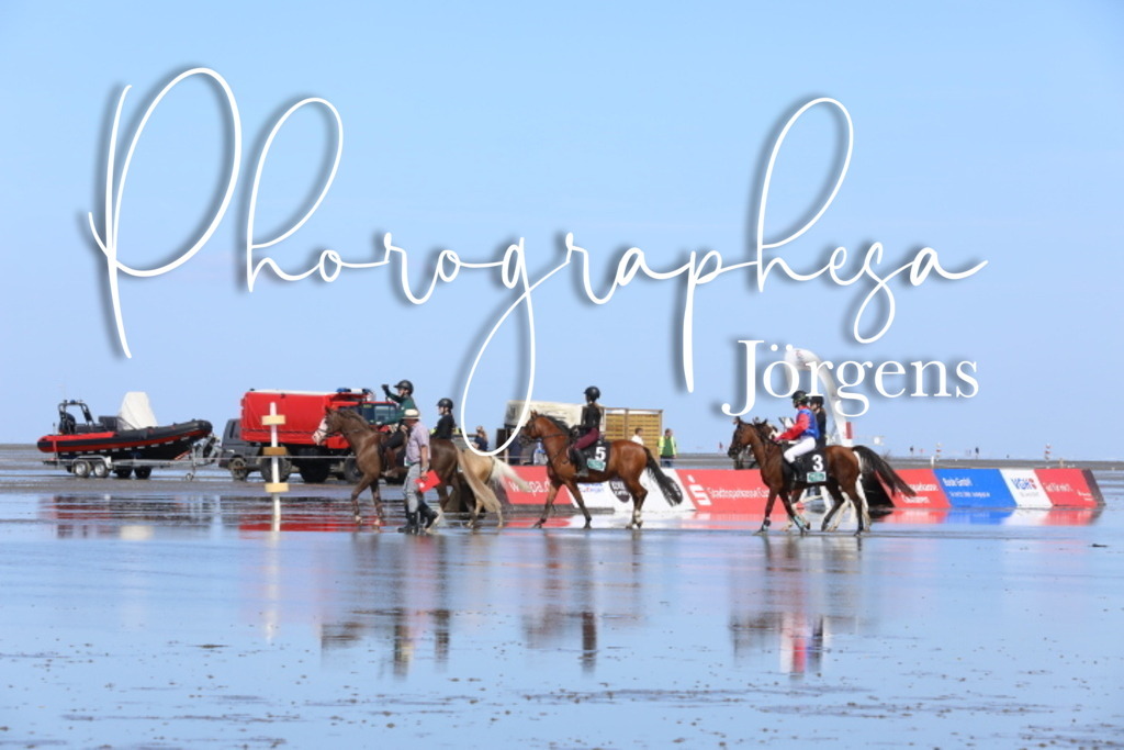 IMG_9519 | photographesa-joergens - Realisiert mit Pictrs.com