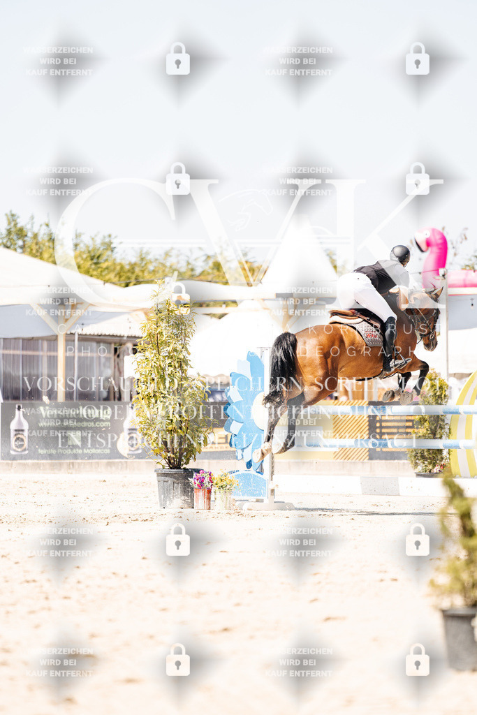 CK909985 | Turnierfotografie Pferdefotografie Trier Rheinland-Pfalz Pferdesport Reitsport Tierfotografie Sportfotografie Pferdevideo Pferdevideografie Equestrianvideography equestrianphotography  - Realisiert mit Pictrs.com