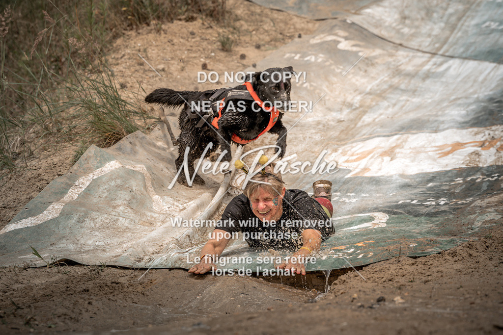 nelerasche_sa1345-1430_165 | nelerasche