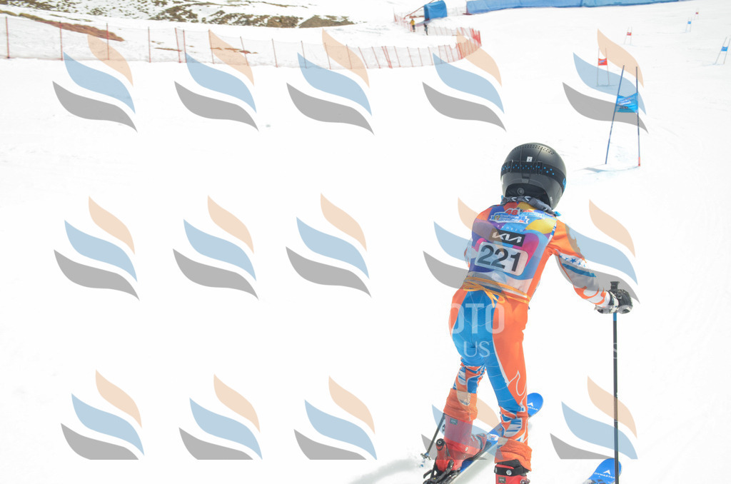 _ELE7187 | holidayphoto