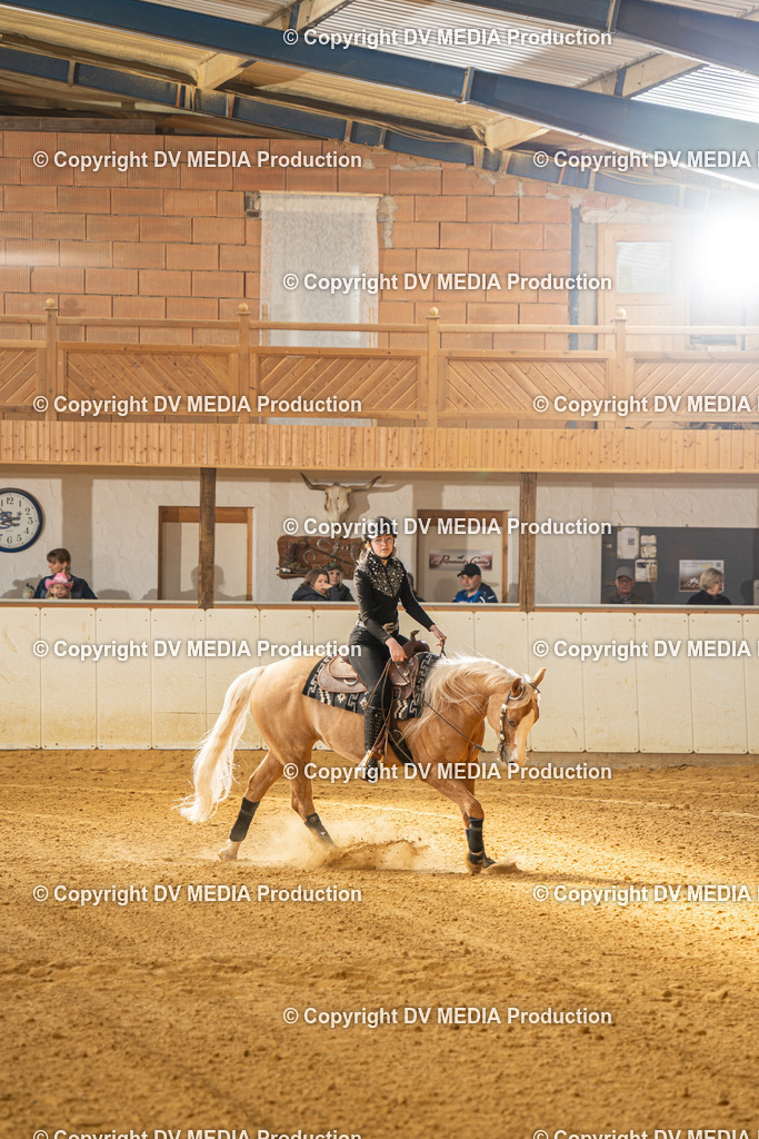 MIT00998 | dv-media-shop - Realisiert mit Pictrs.com