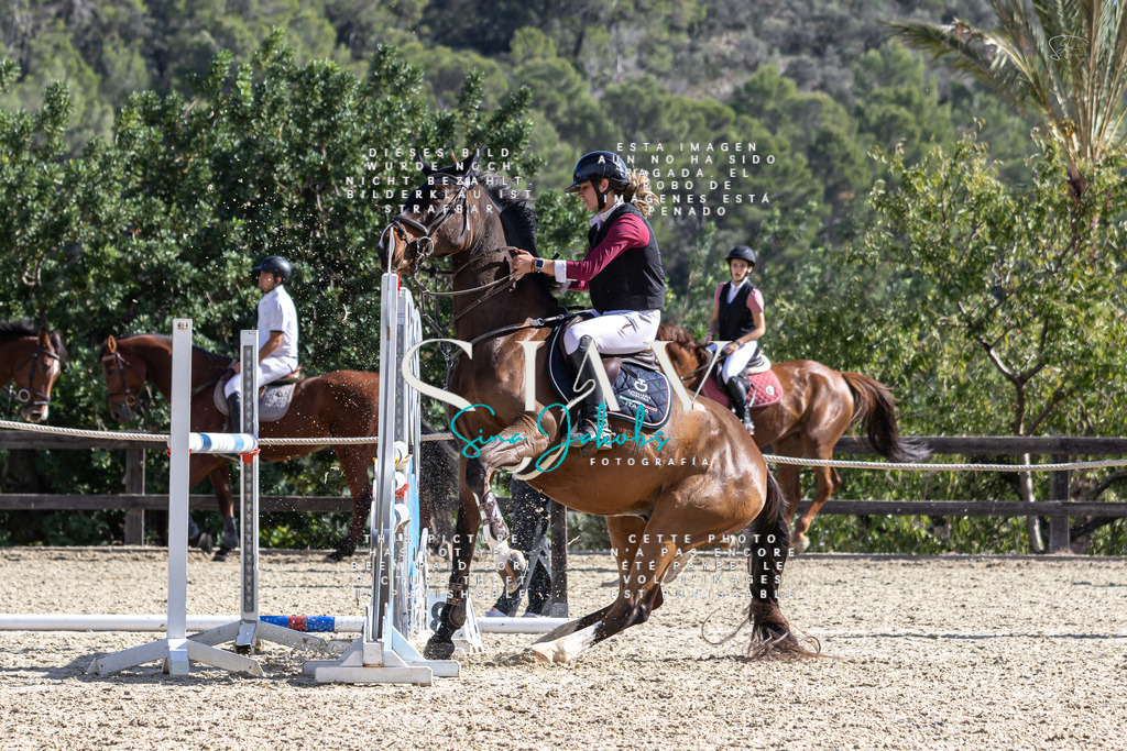 IMG_0353 | s-jay-photography - Realisiert mit Pictrs.com