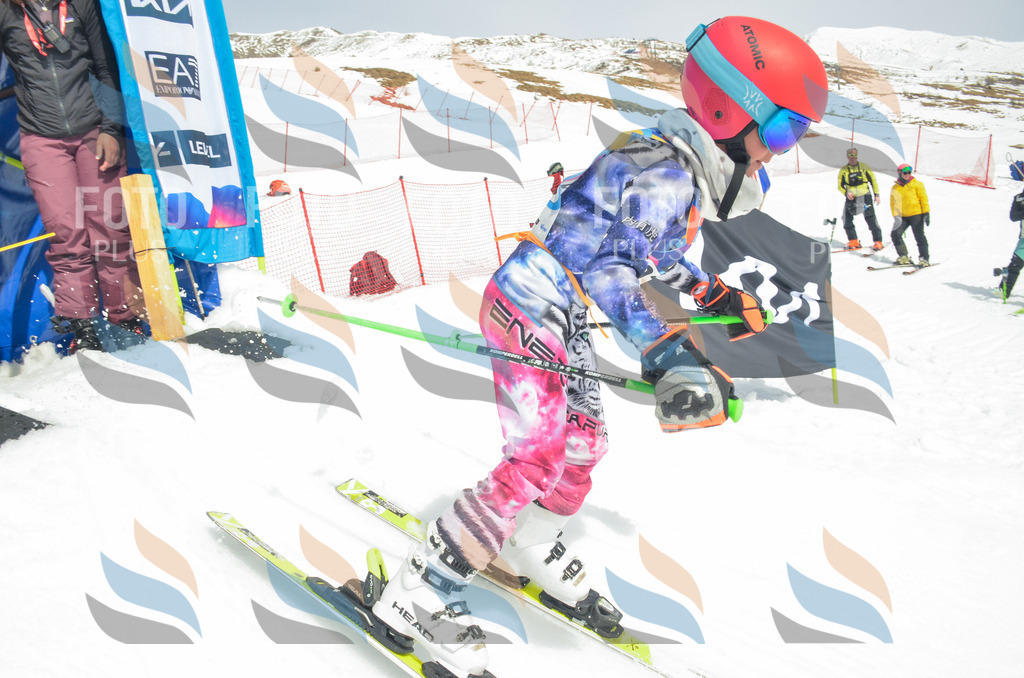 _ELE7919 | holidayphoto