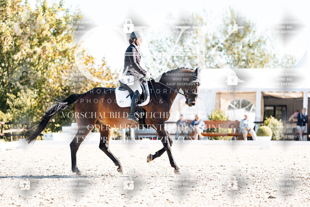 CK908748 | Turnierfotografie Pferdefotografie Trier Rheinland-Pfalz Pferdesport Reitsport Tierfotografie Sportfotografie Pferdevideo Pferdevideografie Equestrianvideography equestrianphotography  - Realisiert mit Pictrs.com