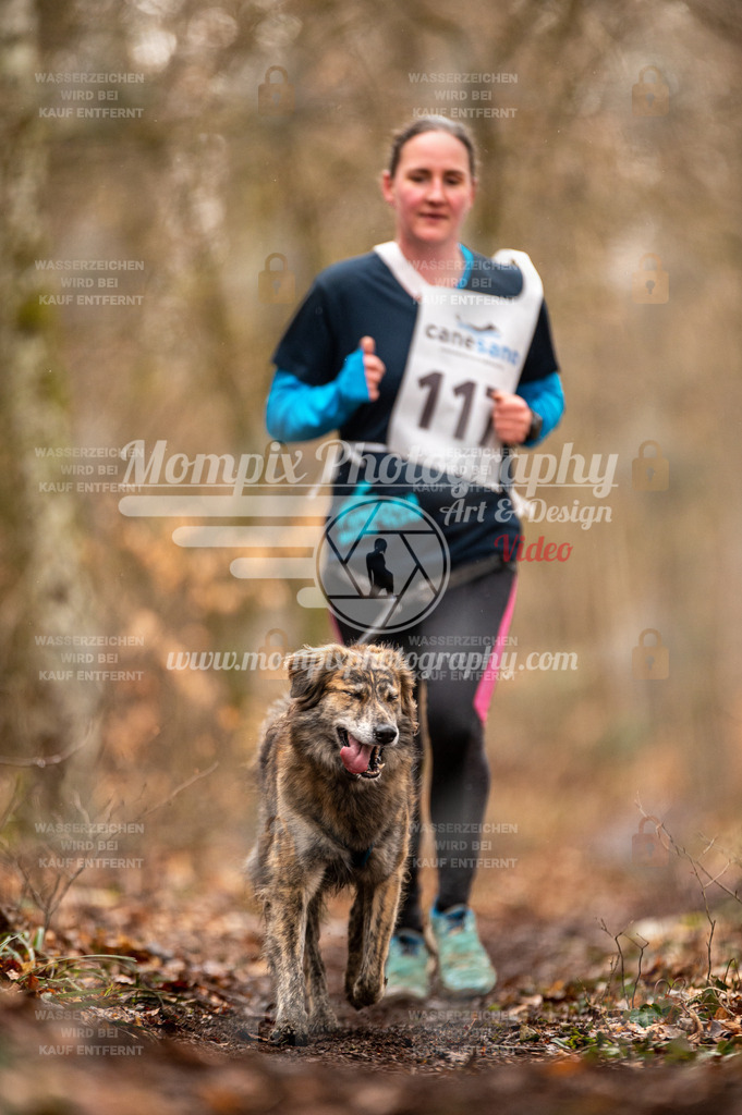 Reiat2023_SON_CaniXRun_5km_W-43 | PayLife