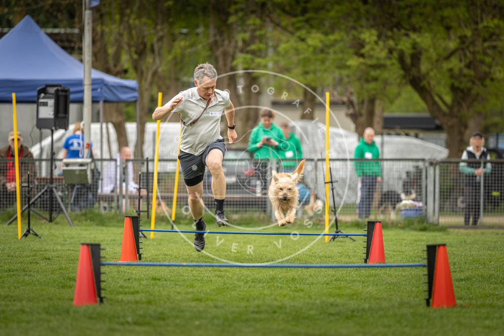 Pfotenfotografie_DV3A2626 | Hundefotografie, Tierfotograf, Pfotenfotografie, Fotoshooting Hund, Hunde Portrait, Hundesport, Hundeportraits, Heideshooting, Hunde, Sportfotograf, Hundefotograf, Turnierhundsport, THS,  - Realisiert mit Pictrs.com