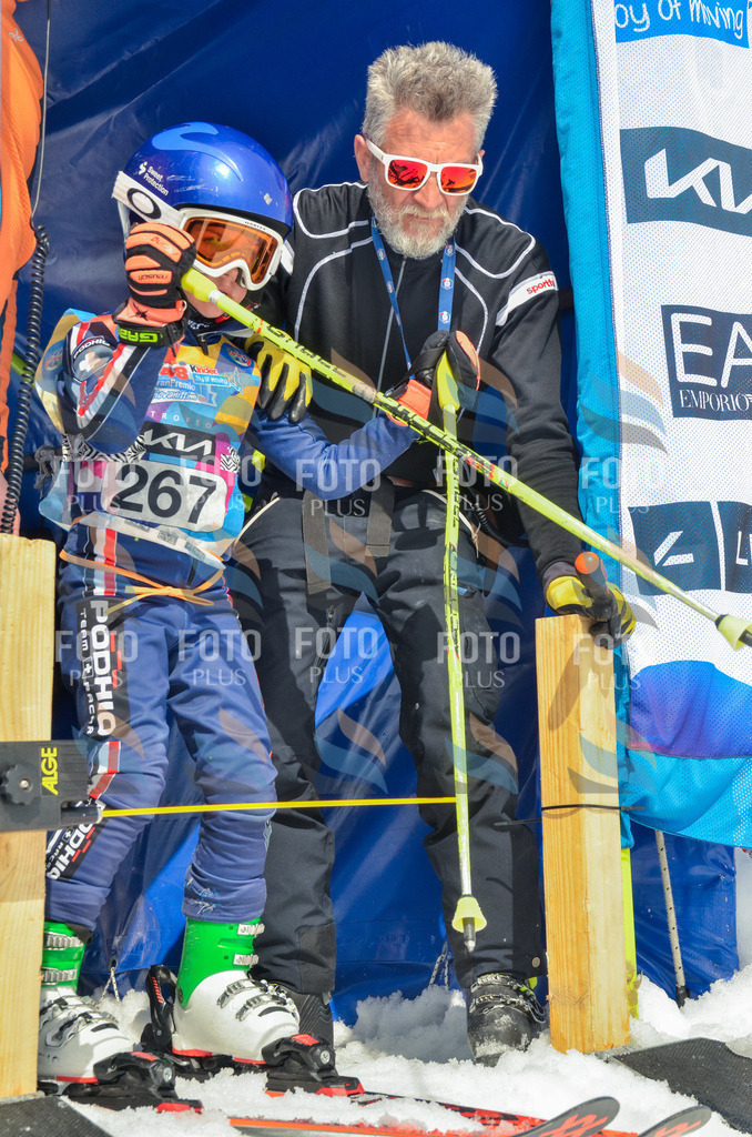 _ELE7759 | holidayphoto