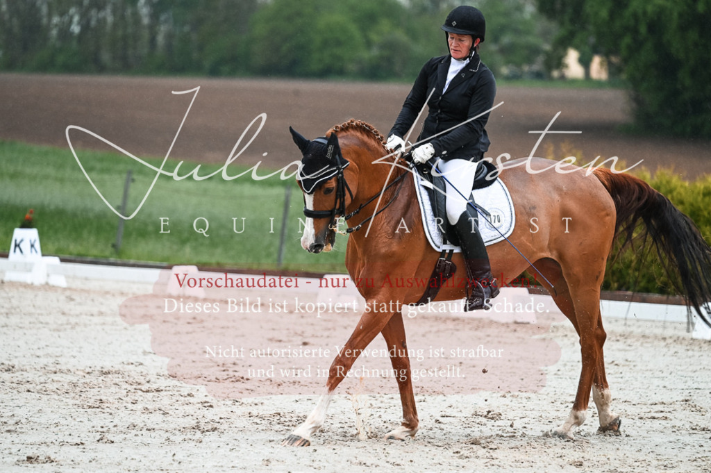 DSC_4481 | Pferde- und Turnierfotografie in Westsachsen. Pferdeportraits, Auftragszeichnungen und intuitive Kunst.