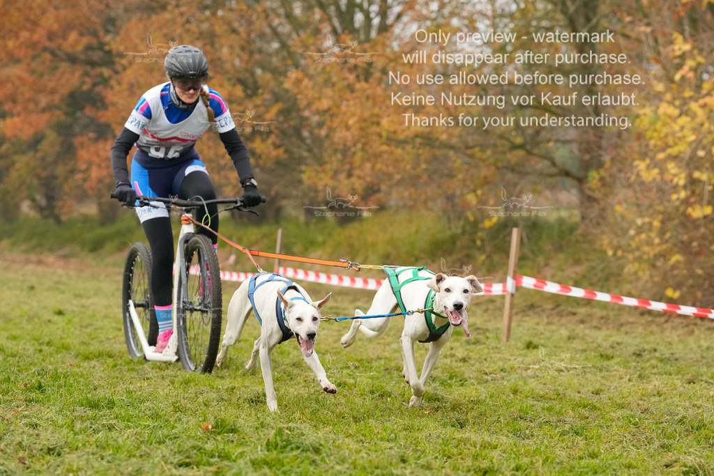 Visbeck_Sa_DS2DR2-23 | stephaniefillaphotographie - Realisiert mit Pictrs.com