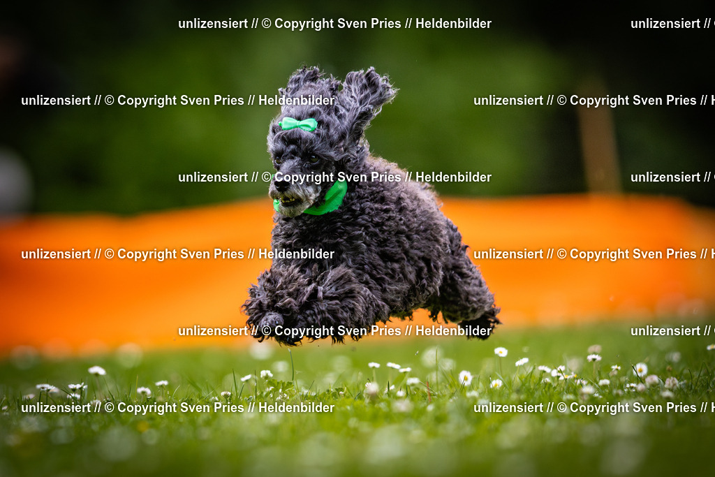 Sven Pries | 2025-05-29 - Pudelrennen KA-Durlach - Realisiert mit Pictrs.com