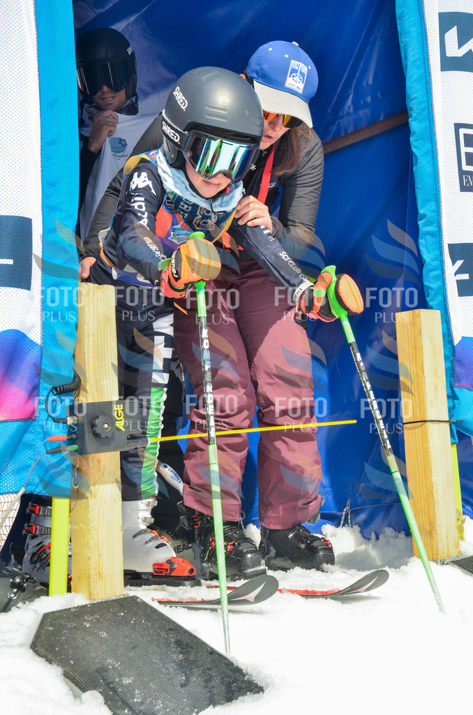 _ELE7044 | holidayphoto