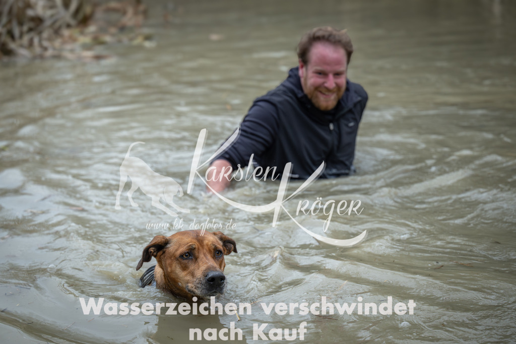 1644_ZZ96303 | kk-dogfotos