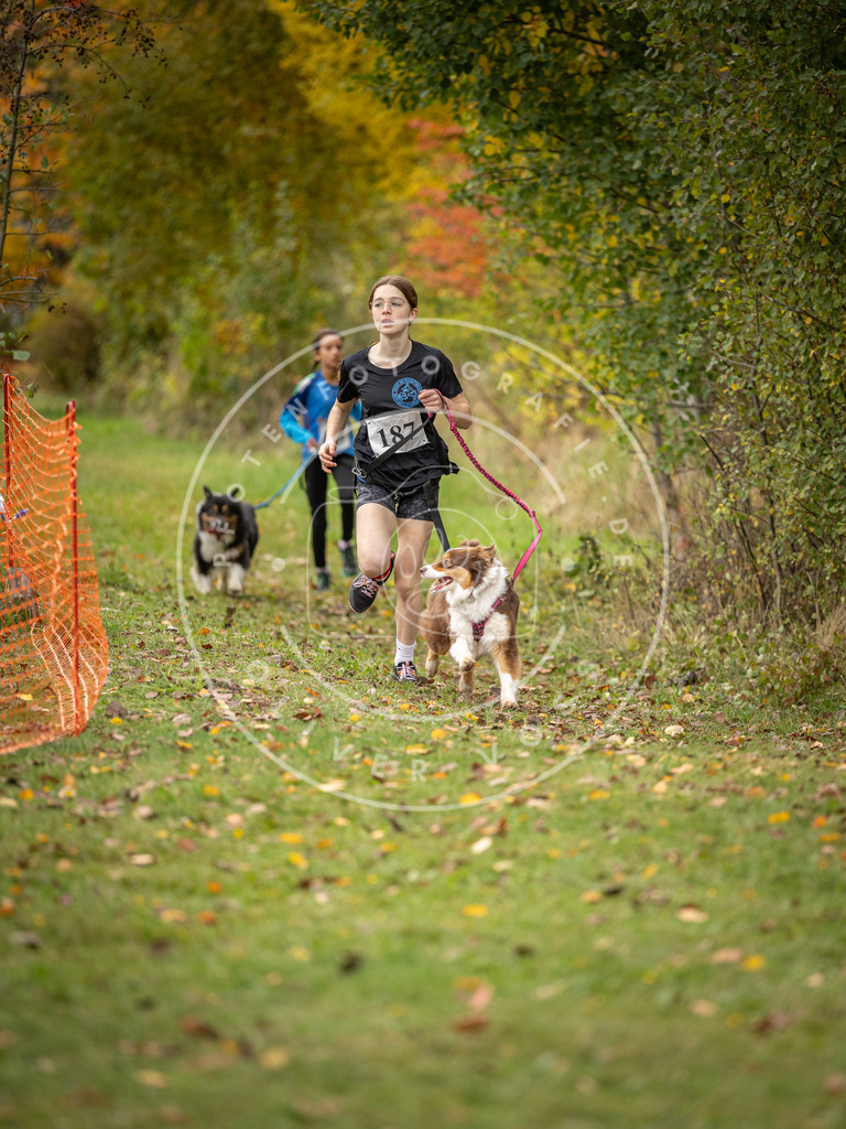 Pfotenfotografie_DV3A3628 | Hundefotografie, Tierfotograf, Pfotenfotografie, Fotoshooting Hund, Hunde Portrait, Hundesport, Hundeportraits, Heideshooting, Hunde, Sportfotograf, Hundefotograf, Turnierhundsport, THS,  - Realisiert mit Pictrs.com