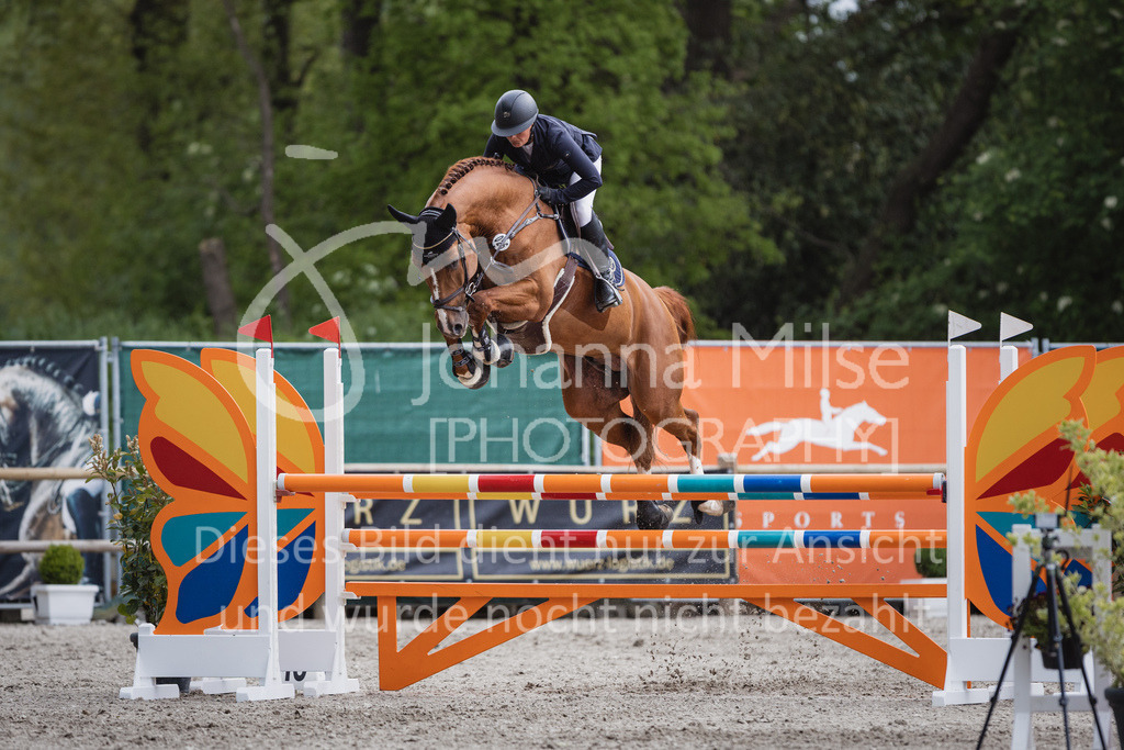 230516_Mühlen_05SprPf-L-595 | Deine schönsten Turniermomente als professionelle Fotos! Entdecke hochwertige Pferdesport-Fotografie im Online-Shop. Jetzt Fotos finden & bestellen!