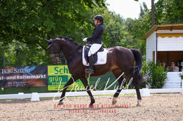 DKP41027 | Turnierfotos kaufen im Webshop von Daniel Kuhl Photography – entdecke professionelle Reitsportfotos aus Turnieren & Events. Hochwertige Turnierbilder online bestellen & sichern. Jetzt Fotos von Reitsportturnieren kaufen!