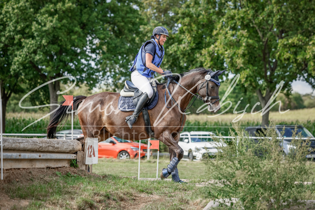 20250905-_3LI1067 | Tierfotografie Pferde, Hunde, Katzen, Haustiere.
Turnierfotografie Reitturniere, Reiten, Springreiten, Dressur in Hanau, dem Main-Kinzig-Kreis und dem Rhein-Main- Gebiet um Frankfurt