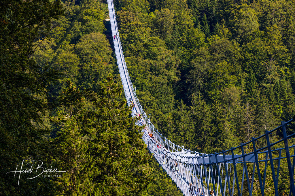 Skywalk Willingen | Skywalk Willingen - Realisiert mit Pictrs.com