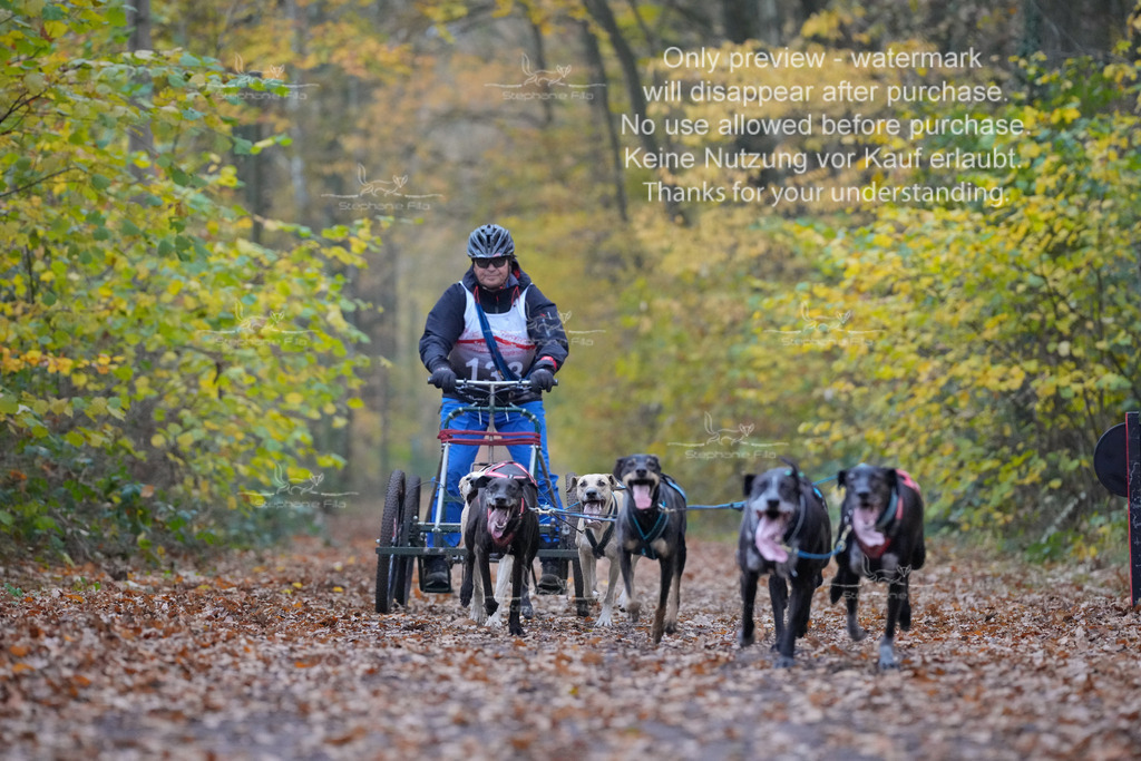 Rigs4bis8So-105 | stephaniefillaphotographie - Realisiert mit Pictrs.com