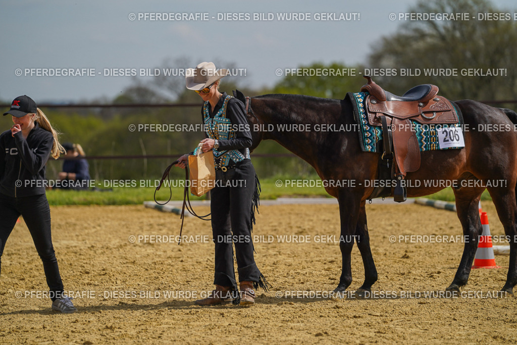 DSC04265 | Pferdegrafie