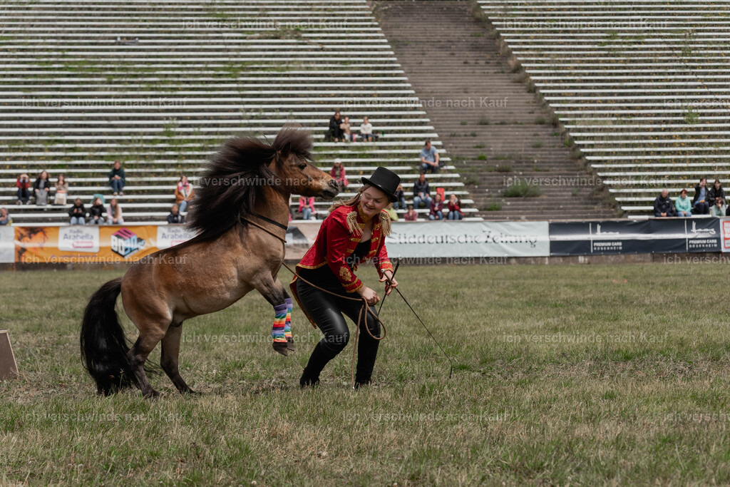 Showprogramm-238 | working equitationturnier fotograf videograf stoibphotography marixx film working equitation deutschland reitsport turnierfotografie eventfotografie equestrian events