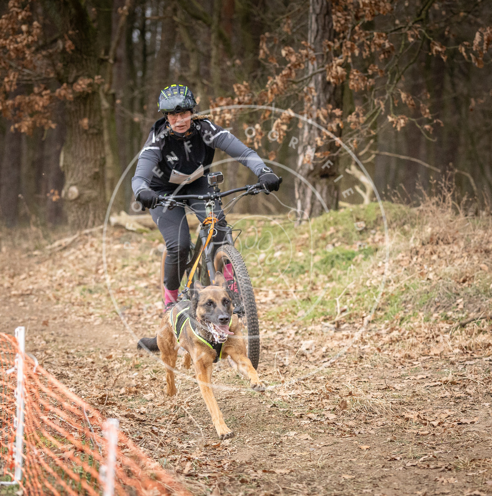 Pfotenfotografie_DV3A1798 | Hundefotografie, Tierfotograf, Pfotenfotografie, Fotoshooting Hund, Hunde Portrait, Hundesport, Hundeportraits, Heideshooting, Hunde, Sportfotograf, Hundefotograf, Turnierhundsport, THS,  - Realisiert mit Pictrs.com