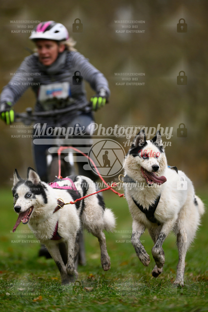 MompixPhotography_Bischwiller24_SA_VTT2-41 | PayLife