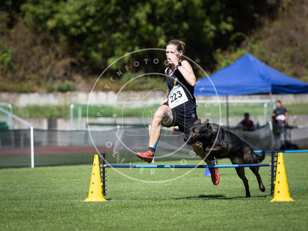 Pfotenfotografie_DV3A5491 | Hundefotografie, Tierfotograf, Pfotenfotografie, Fotoshooting Hund, Hunde Portrait, Hundesport, Hundeportraits, Heideshooting, Hunde, Sportfotograf, Hundefotograf, Turnierhundsport, THS,  - Realisiert mit Pictrs.com
