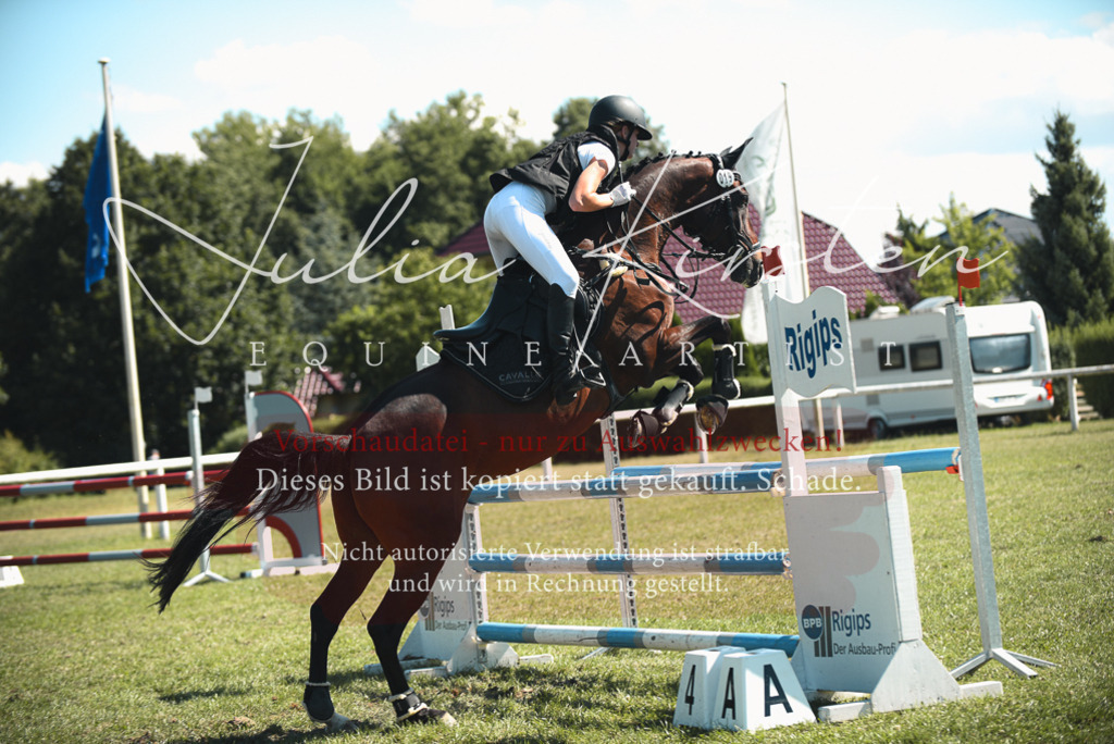 DSC_7205 | Pferde- und Turnierfotografie in Westsachsen. Pferdeportraits, Auftragszeichnungen und intuitive Kunst.