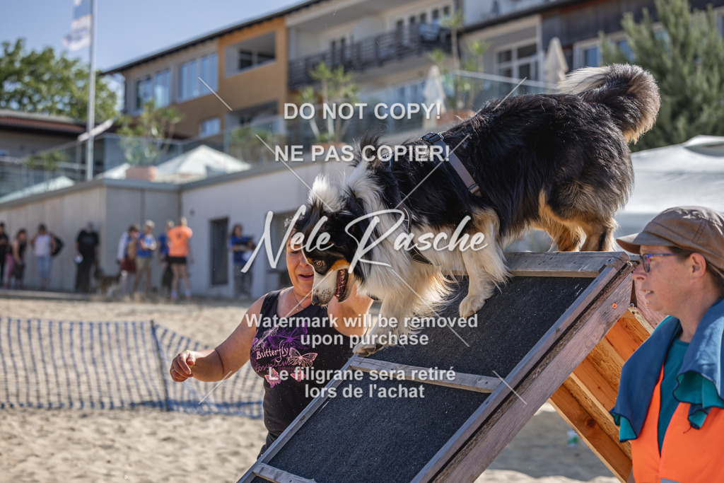 nelerasche_saBeachility_180 | nelerasche