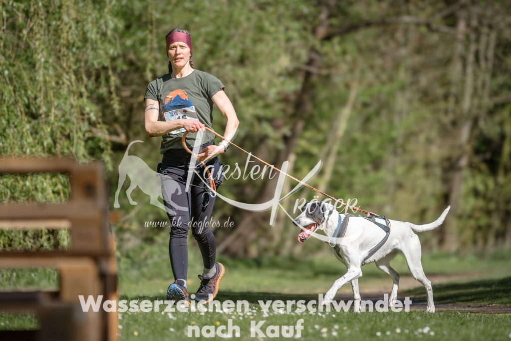 1031DZ6_3991 | kk-dogfotos